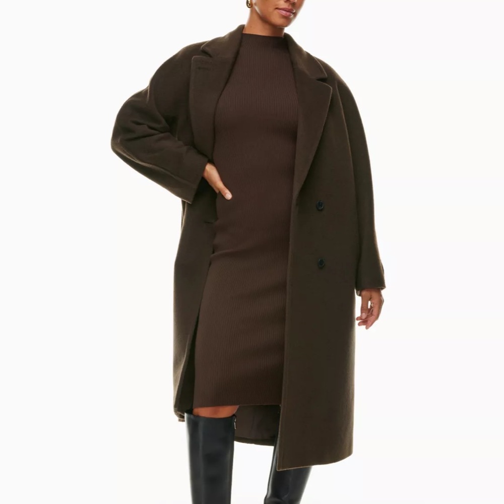 Aritzia The Slouch Coat